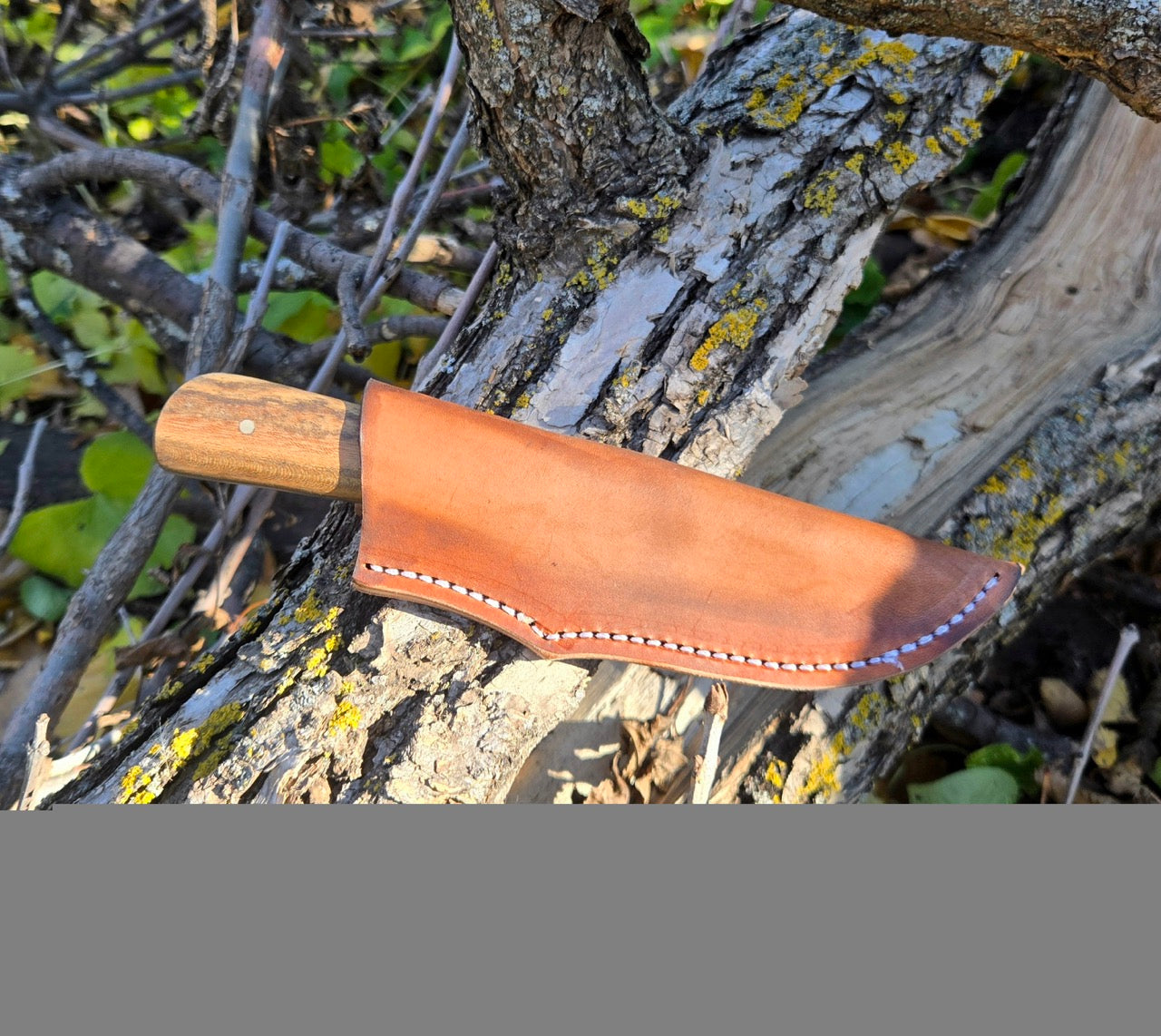 Farriers Rasp Drop Point