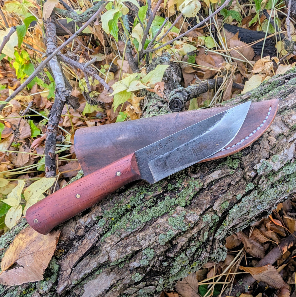 Drop Point