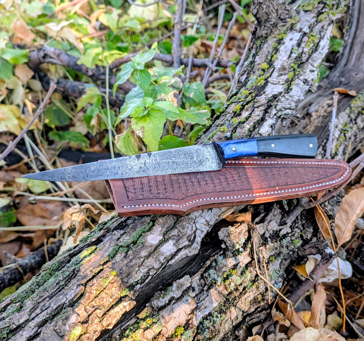 Damascus Fillet Knife