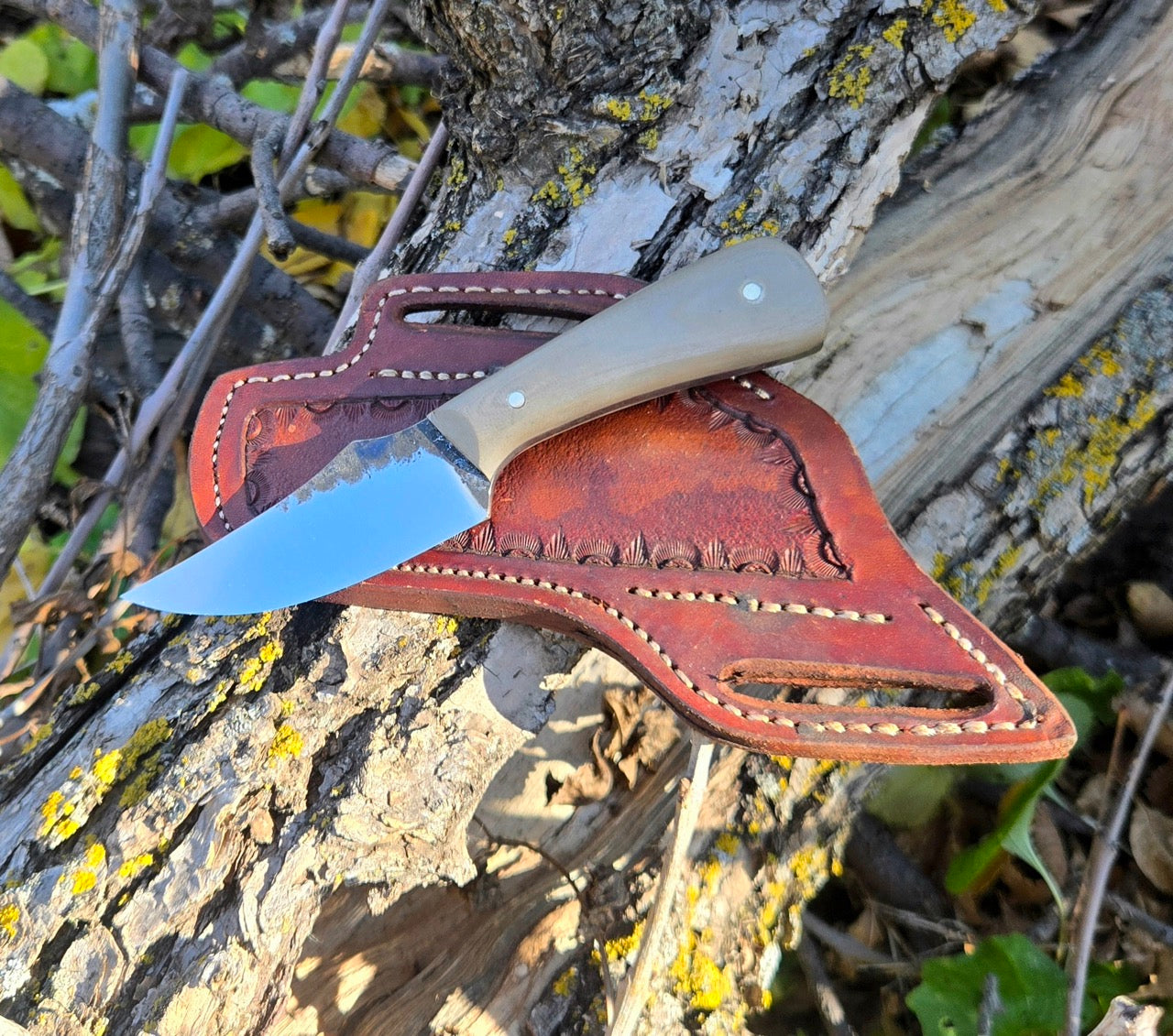 EDC Skinner