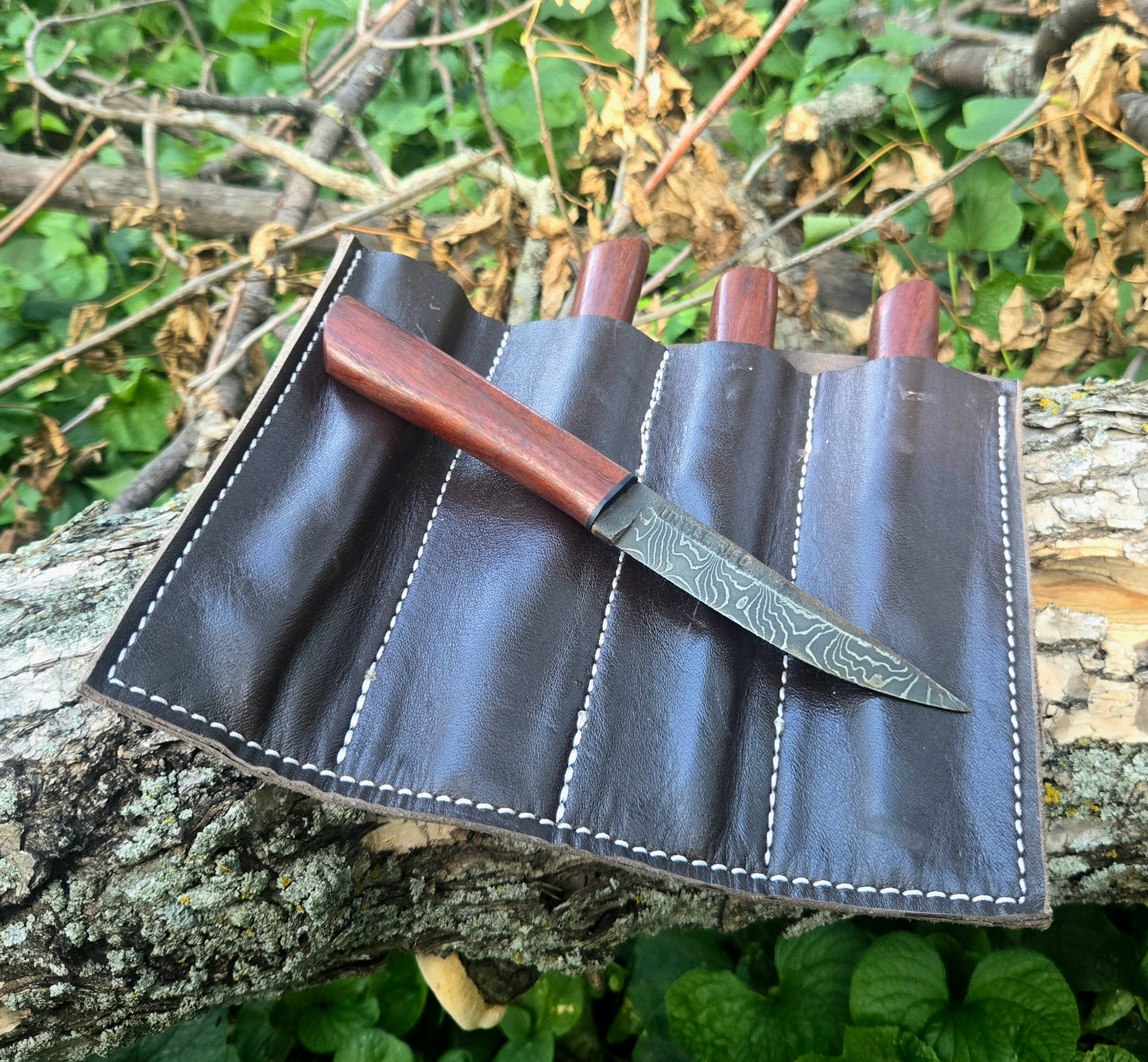 4pc Steak Knife Set