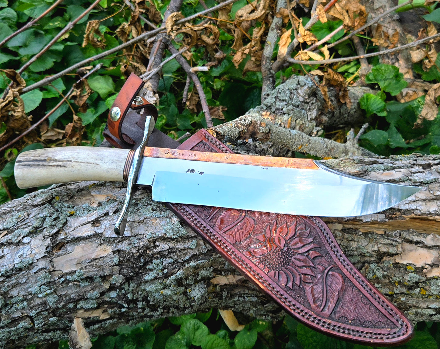 Alamo Bowie