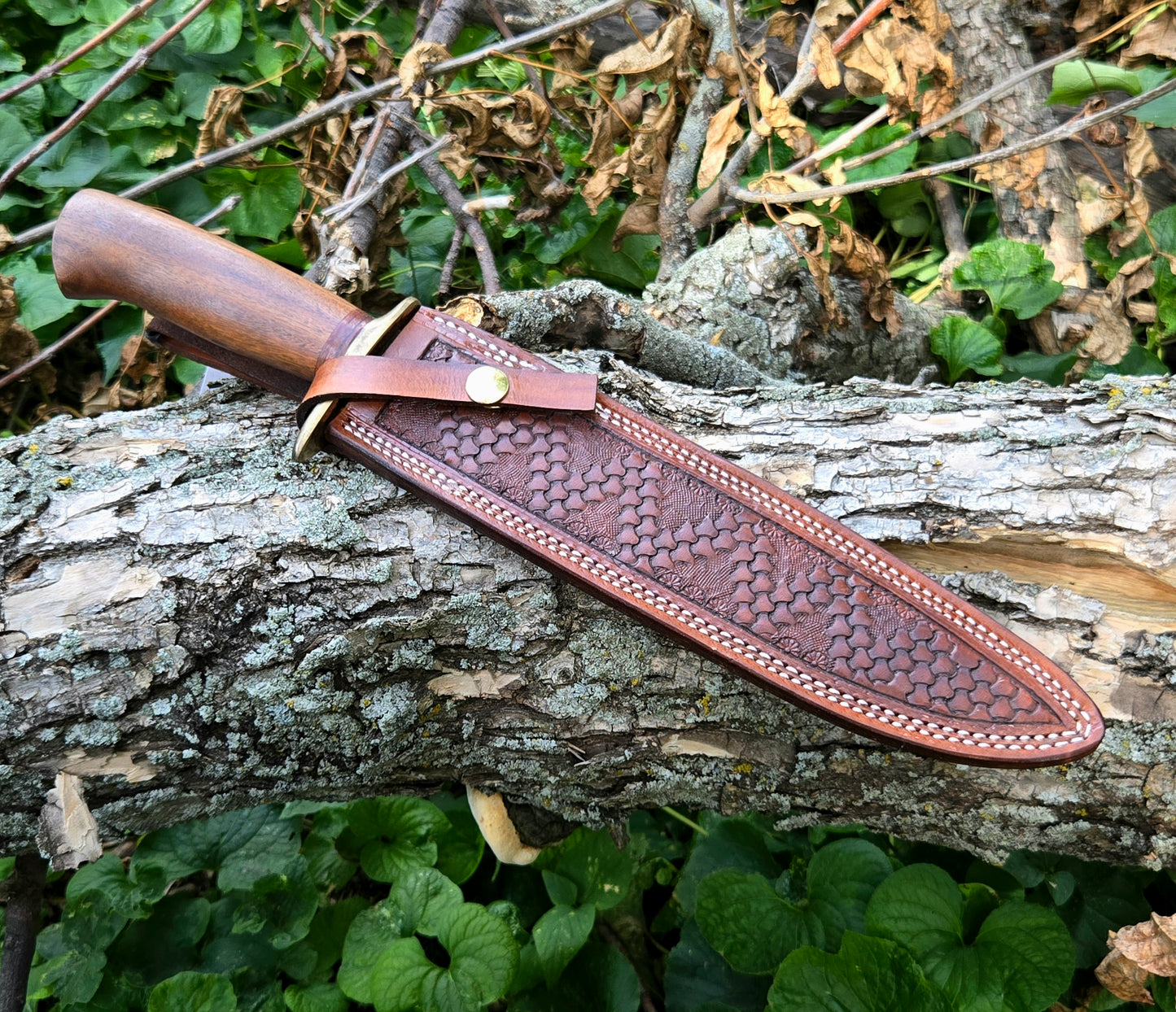 Boar Hunter