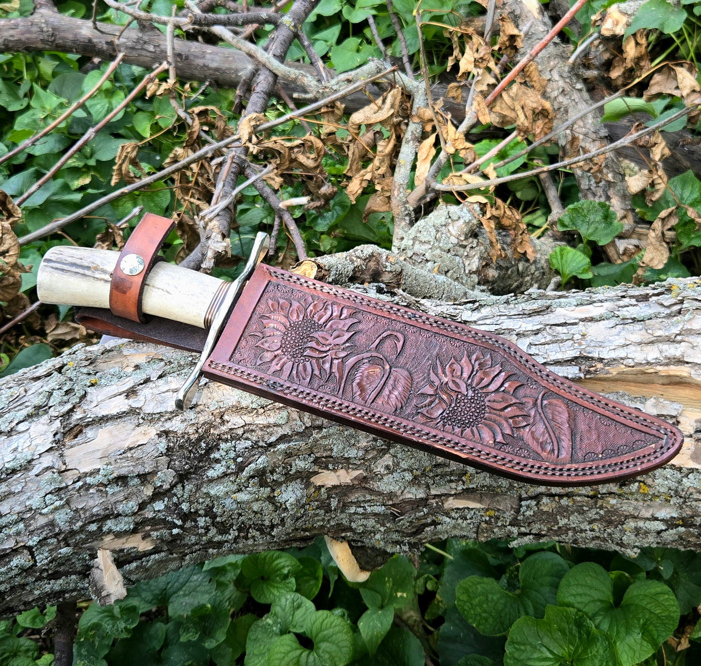 Alamo Bowie